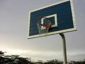 sporten basketbal